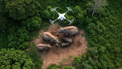 AI-Powered Wildlife Monitoring & Conservation Platform